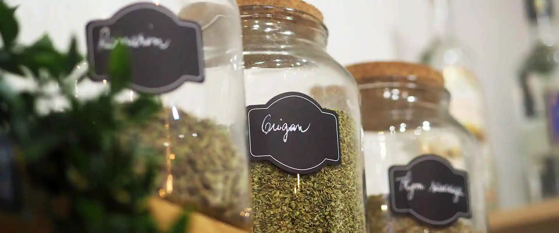 Dictame Malotira thé des montagnes, Origan bio, thym sauvage