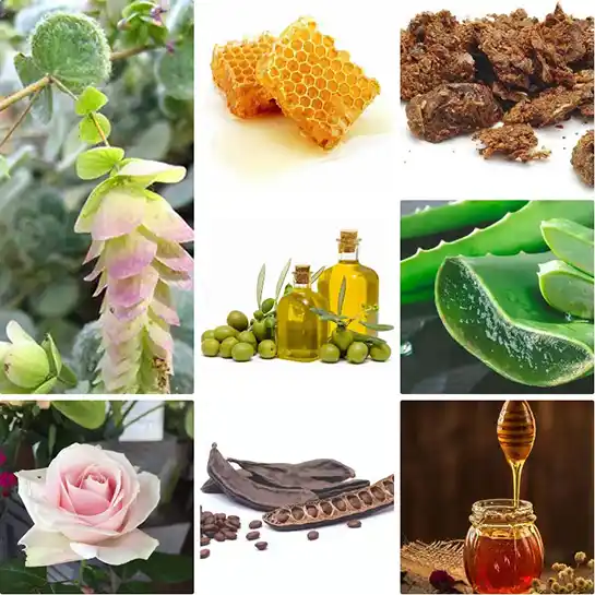 bienfaits des produits grecs et crétois: Dictame de Crète, Caroube, miel, rose, aloe vera, huiles d'olive, propolis ,..
