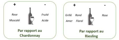 vin-blanc-sec-grec-moschofilero-fiche